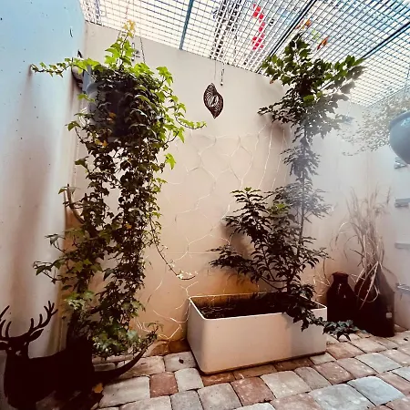 Hirschzimmer & Strandzimmer 우팅 암 아메르제